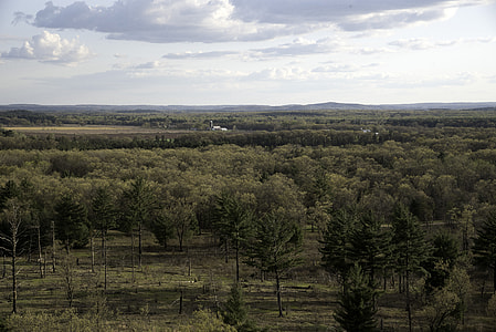 Trees and forest and farm landscape in Quincy Bluff, Wisconsin thumbnail