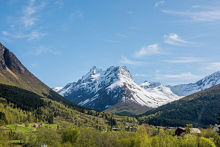green leaved tree on mountain during daytime thumbnail