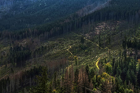 aerial photography of mountain thumbnail