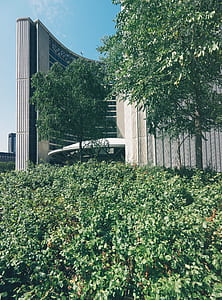 building beside trees and grass field thumbnail