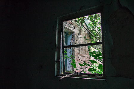 window with a scene of brick house thumbnail