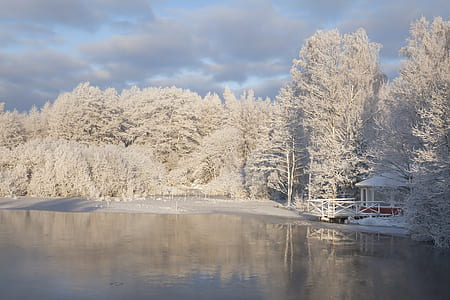 white gazebo near body of water surrounded by trees thumbnail