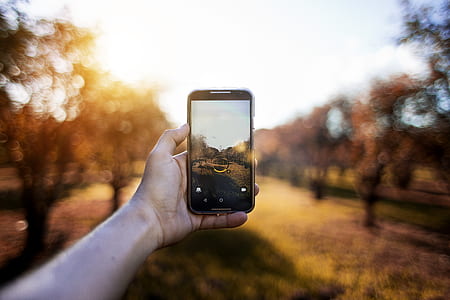 hand, camera, smartphone, trees thumbnail
