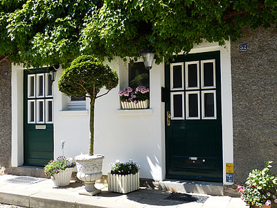 green leaf plants in front of door panels thumbnail