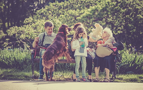 people sitting on bench with girl and dog during daytime thumbnail