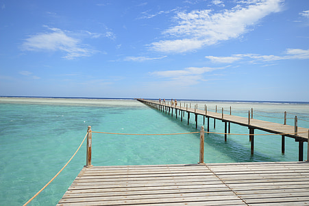 brown beach dock under blue sky thumbnail