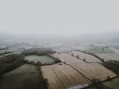 aerial view of swamp thumbnail