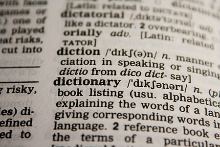 dictionary page thumbnail