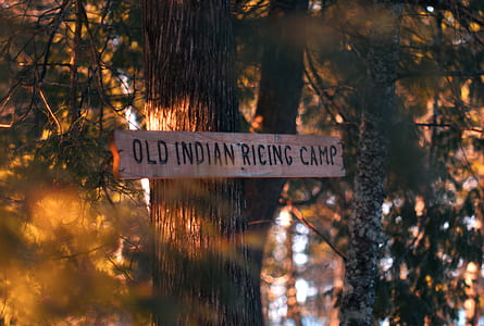 old Indian ricing camp signage thumbnail