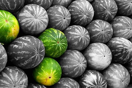 selective color photography of 3 watermelons thumbnail