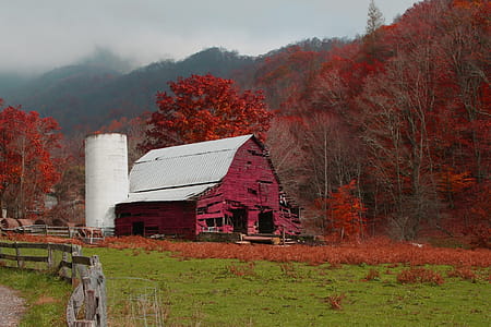 A red barn on a fall day in the mountains thumbnail