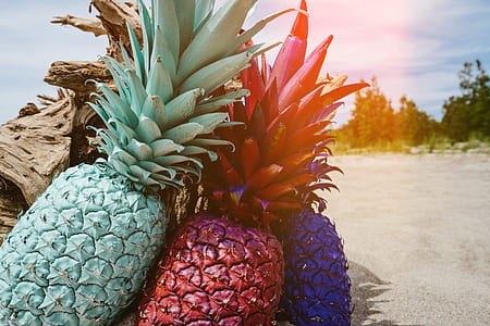 green, red, and blue pineapples on sand thumbnail