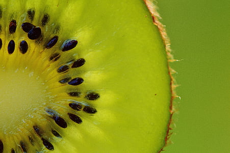 macro photography of sliced green fruit thumbnail