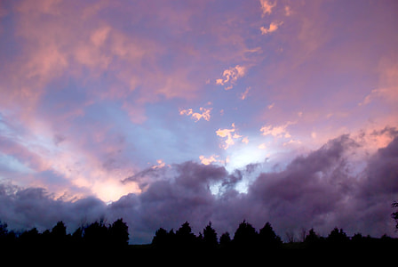 silhouette of trees under cloudy sky thumbnail