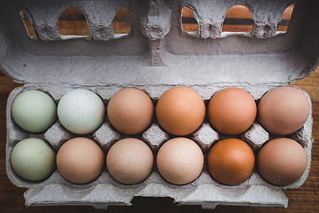 chicken eggs on gray tray thumbnail