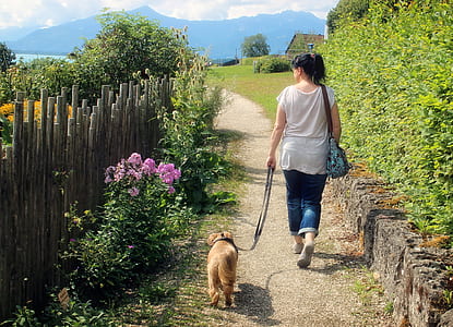 woman in white shirt and blue jeans walking with golden retriever puppy thumbnail