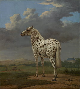white and gray horse painting thumbnail