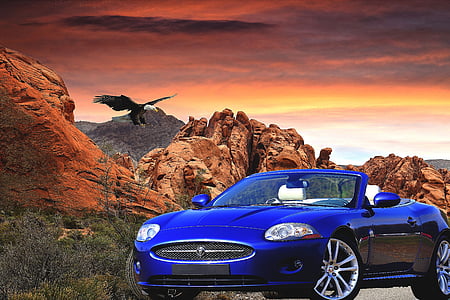 blue convertible coupe on road at golden hour thumbnail