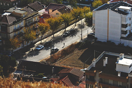 birds eye photography of building structure thumbnail