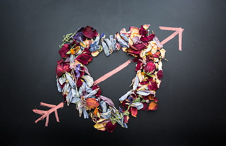 wreath of assorted-color of petaled with pink arrow artwork thumbnail