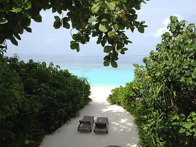 two gray wooden beach lounge chairs near body of water thumbnail