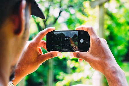 person taking photo of trees thumbnail