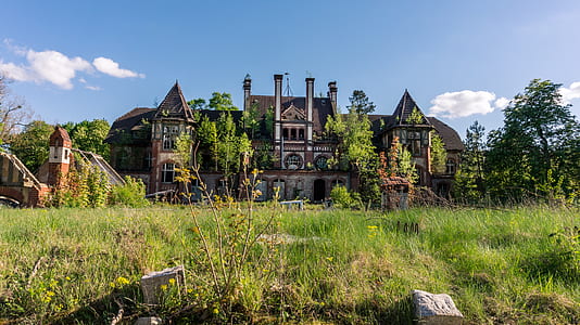 mansion surrounded by trees thumbnail