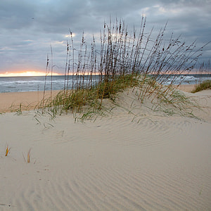 white sand and body of water thumbnail