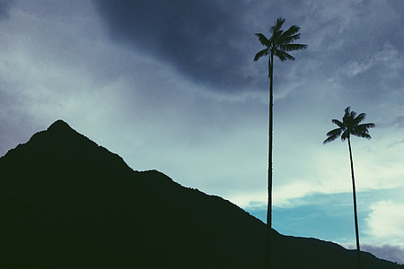 mountain near coconut tree thumbnail