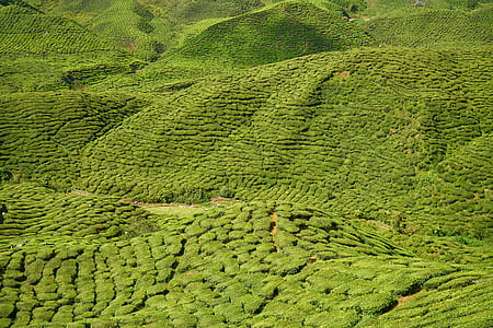 green mountain during daytime thumbnail