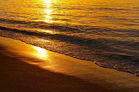 photo of sea waves during golden hour thumbnail