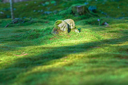 photo of stones near grass thumbnail