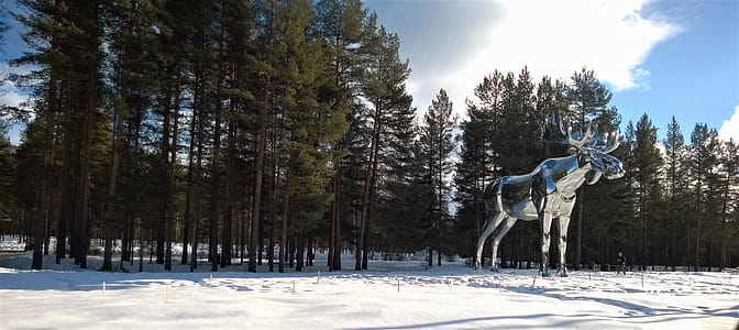 Silver Moose Statue Near Tree thumbnail