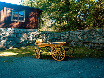 Brown Carriage on Green Grass Lawn thumbnail