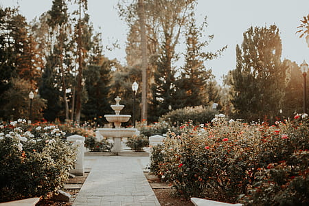 white concrete outdoor fountain at middle of garden thumbnail