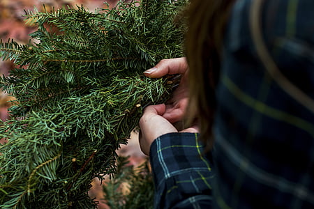 person holding a green leaf plant thumbnail