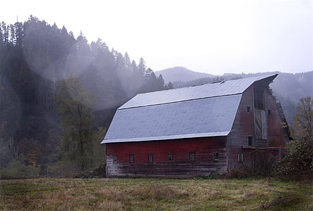 gray and red house surrounded tree thumbnail