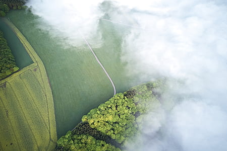 aerial photography of green plains thumbnail