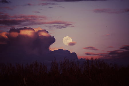 silhouette of trees under cloudy sky thumbnail