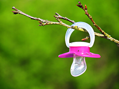 pink pacifier hanging on stem thumbnail