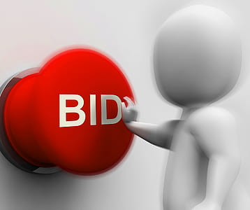 Bid Pressed Showing Auction Bidding And Reserve thumbnail