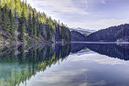 panoramic photo of river and trees during daytime thumbnail