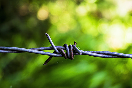 gray steel barbwire thumbnail