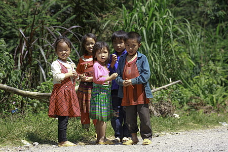 group of children standing on road near green leafed plants during daytime thumbnail