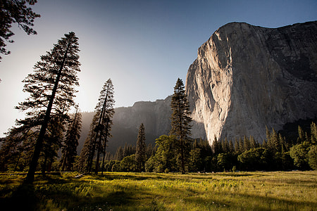 rocky mountain across pine trees on green grass field during daytime thumbnail