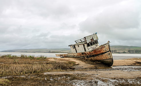 brown boat on seashore during daytime thumbnail