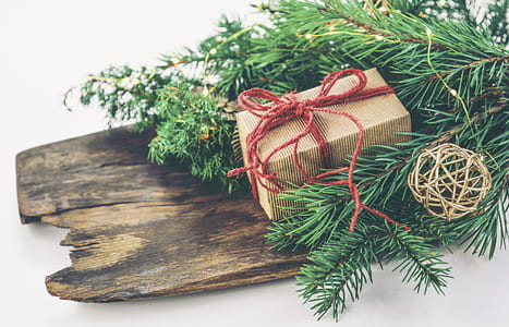 brown box with green leaf plant decoration thumbnail
