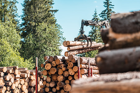 Timber Truck Logging Forestry Operations thumbnail