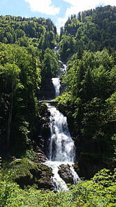 waterfalls surrounded by green leafed trees thumbnail