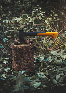 orange hatchet on wood slab with pine cone s thumbnail
